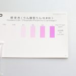 リン酸塩測定　糸状のコケが蔓延した水槽の水質測定